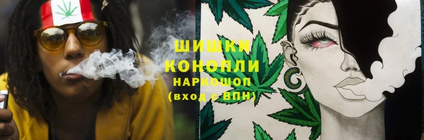 твердый Белокуриха