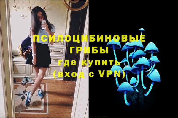 ALPHA PVP Беломорск