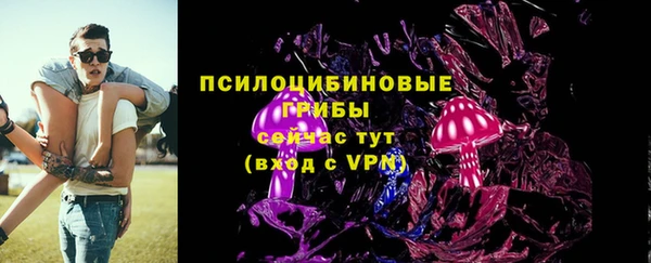 твердый Белокуриха